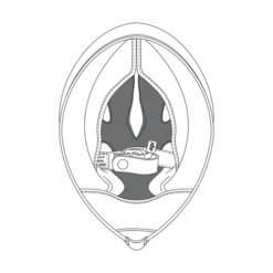 AGV Corsa R/Veloce Zwart Verwijderbare Wangkussen 20kit6120